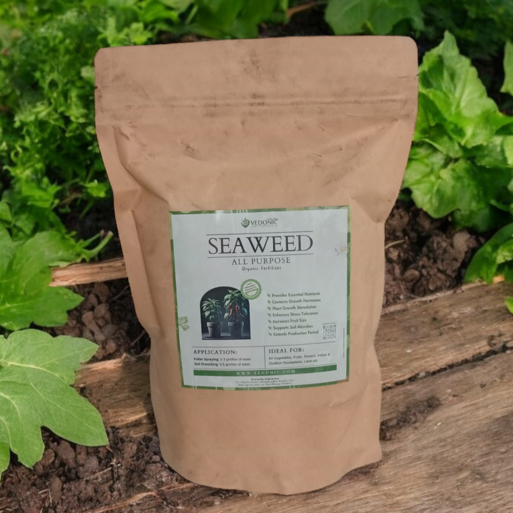 Organic Seaweed Extract Fertilizer (Dry)